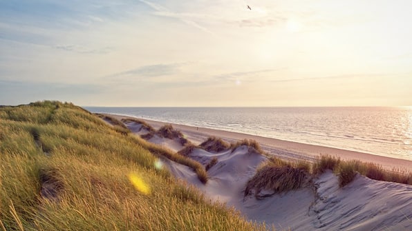 Umwelt - De Koepoort Umwelt - De Koepoort