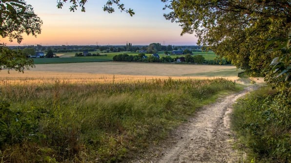 Omgeving - Het Montferland