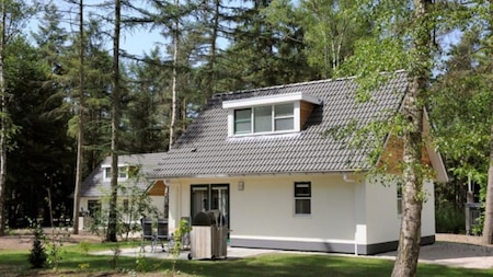 Außenansicht - RCN Vakantiepark het Grote Bos