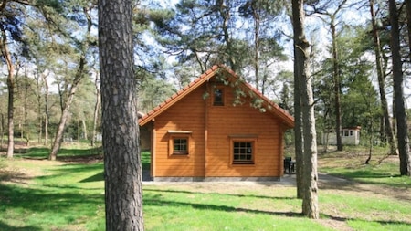 Außenansicht - RCN Vakantiepark het Grote Bos