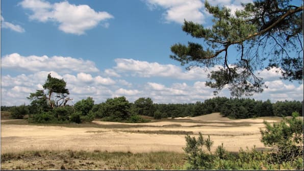 Veluwe - Hotel Spelderholt