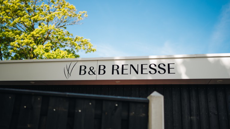Hotel - Bed and Breakfast Renesse