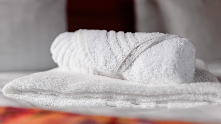 Luxe kamer Herenhuis - Buitenplaats Iepenoord