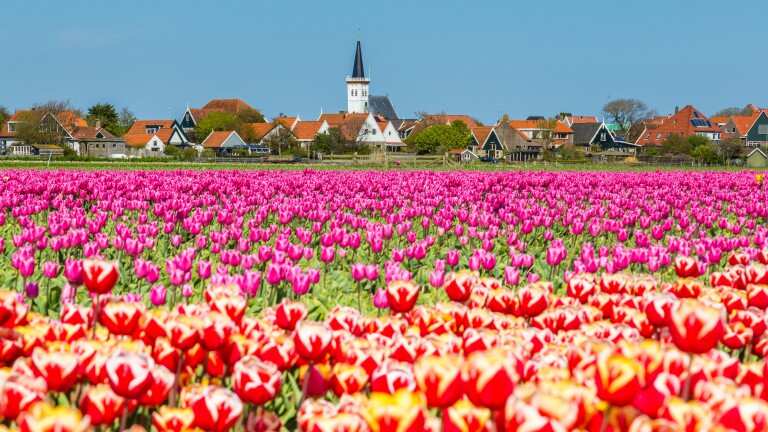 voordeeluitjes hotel tatenhove texel