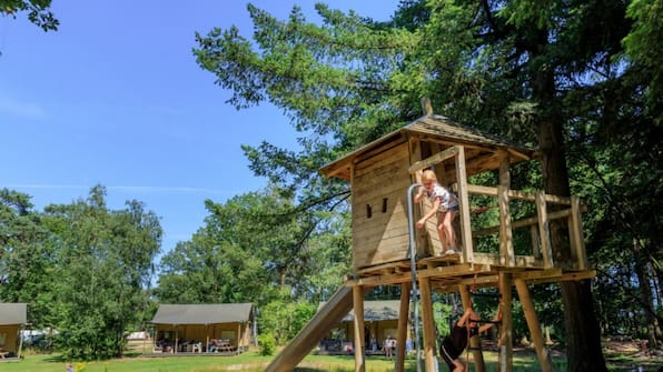 Speeltuin - RCN Vakantiepark de Flaasbloem