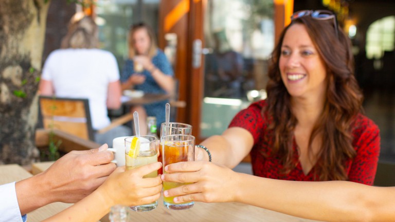 Brasserie - RCN Vakantiepark de Flaasbloem