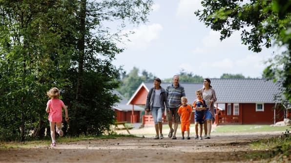 Wandelen - RCN Vakantiepark de Flaasbloem