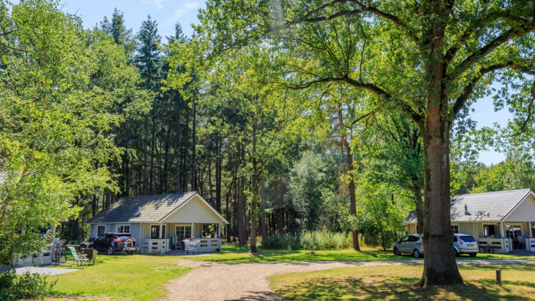 RCN Vakantiepark de Flaasbloem