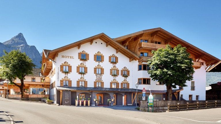 Hotel der Grüne Baum - der Grüne Baum