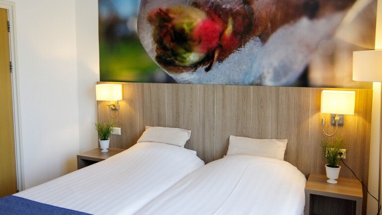 Comfort tweepersoonskamer - Hotel en Restaurant van Saaze