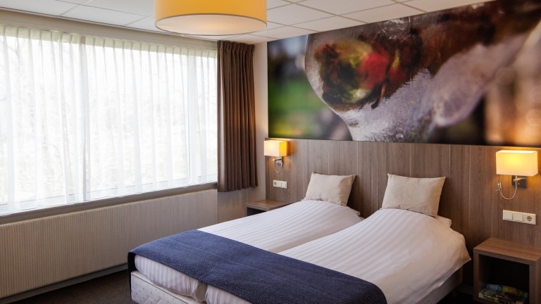 Superior tweepersoonskamer - Hotel en Restaurant van Saaze