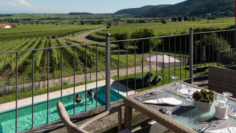 Terras - Hotel Leinsweiler Hof