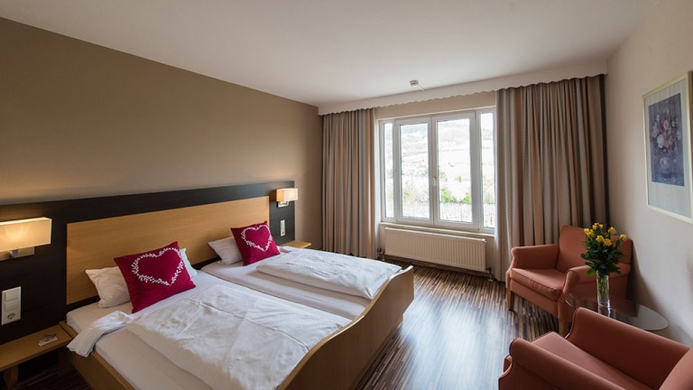 Standaard kamer - Hotel Leinsweiler Hof