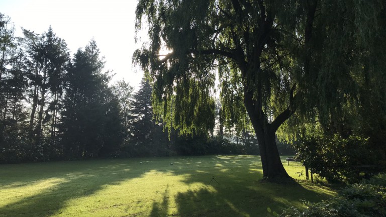 Natur - Bauernhof der Wingerd