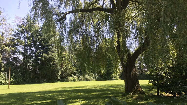 Natur - Bauernhof der Wingerd