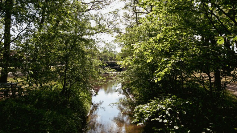 Omgeving - De Watermölle