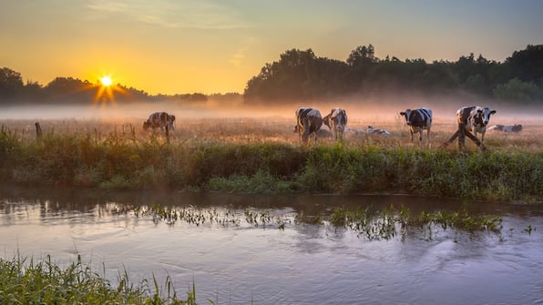 Omgeving - De Watermölle