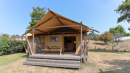 Außenansicht - Roompot Camping de Zandput