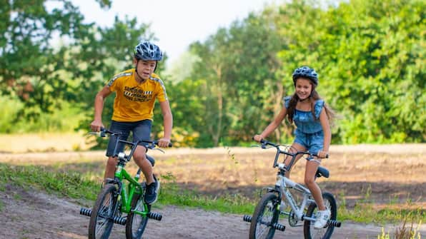 Fietscrossbaan - RCN Vakantiepark de Flaasboem