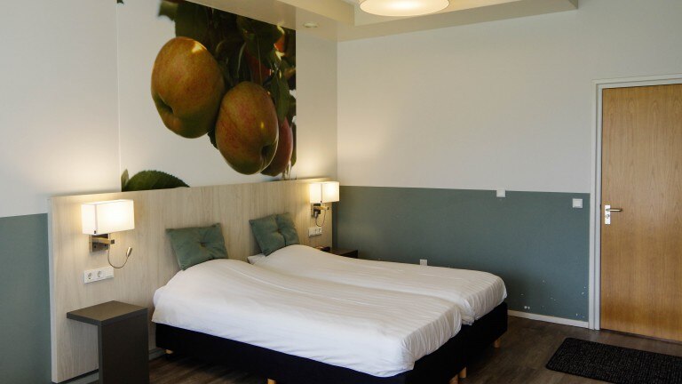 Suite met balkon - Hotel en Restaurant van Saaze