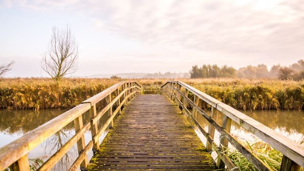 Omgeving - Hotel en Restaurant van Saaze