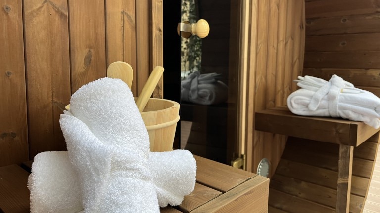 Heritage sauna room - Hotel Haarhuis