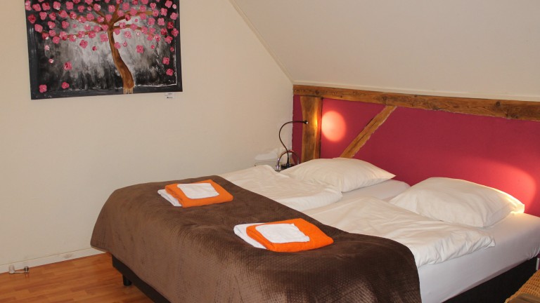 Kleine standaardkamer - Boutique Hotel Nieuw Beusink
