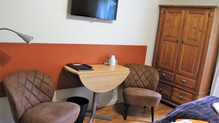 Standaardkamer met terras - Boutique Hotel Nieuw Beusink