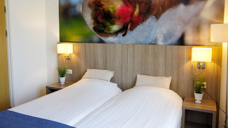 Comfort tweepersoonskamer - Hotel en Restaurant van Saaze