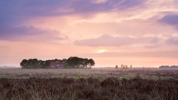 Omgeving - City Hotel de Jonge