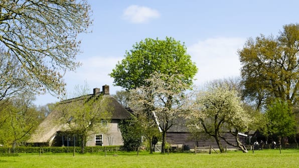 Orvelte - Het Wapen van Aelden