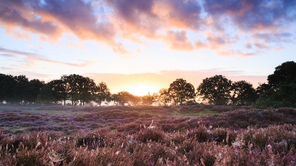 Omgeving - Dorpsherberg De Roskam