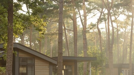 6-Personen Forest Park Haus - Vakantiepark de Kleine Belties