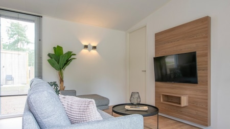 Wohnzimmer - Roompot Bospark t Wolfsven