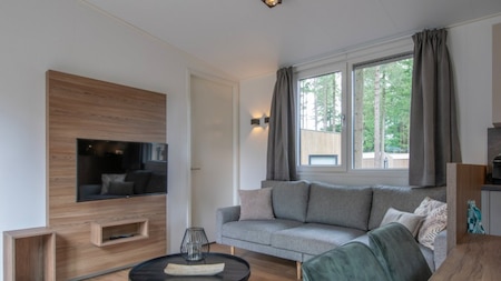 Wohnzimmer - Roompot Bospark t Wolfsven