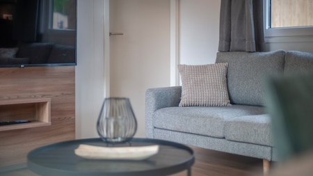 Wohnzimmer - Roompot Bospark t Wolfsven