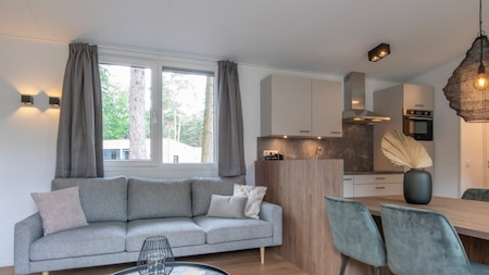 Wohnzimmer - Roompot Bospark t Wolfsven