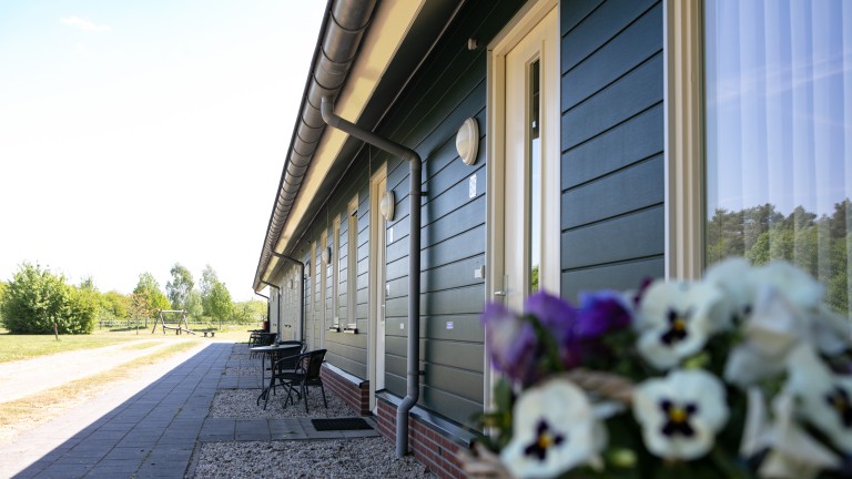 Unterkünfte - Horsetellerie Rheezerveen