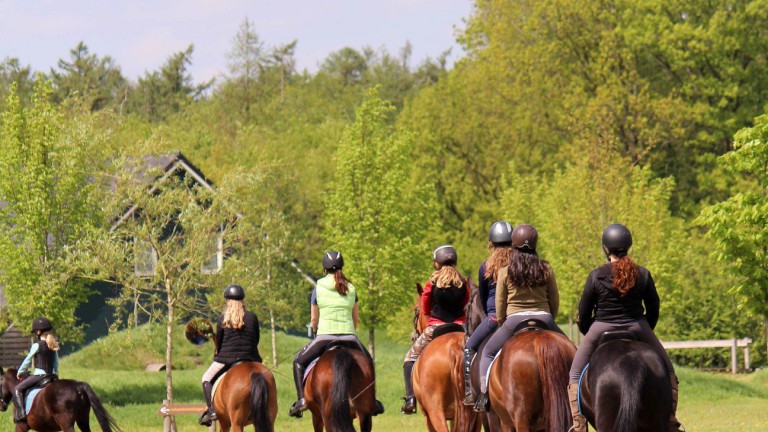 Reiten - Horsetellerie Rheezerveen