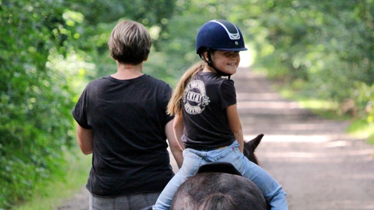 Reiten - Horsetellerie Rheezerveen