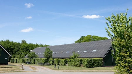 Buitenaanzicht - Horsetellerie Rheezerveen Buitenaanzicht - Horsetellerie Rheezerveen