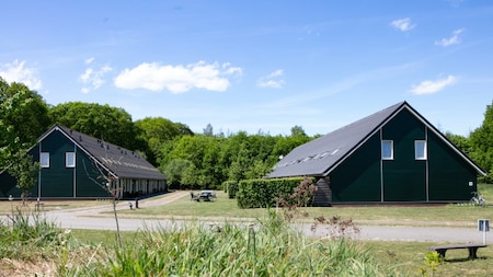 Buitenaanzicht - Horsetellerie Rheezerveen Buitenaanzicht - Horsetellerie Rheezerveen
