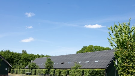 Buitenaanzicht - Horsetellerie Rheezerveen Buitenaanzicht - Horsetellerie Rheezerveen