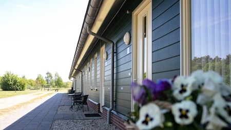 Buitenaanzicht - Horsetellerie Rheezerveen Buitenaanzicht - Horsetellerie Rheezerveen