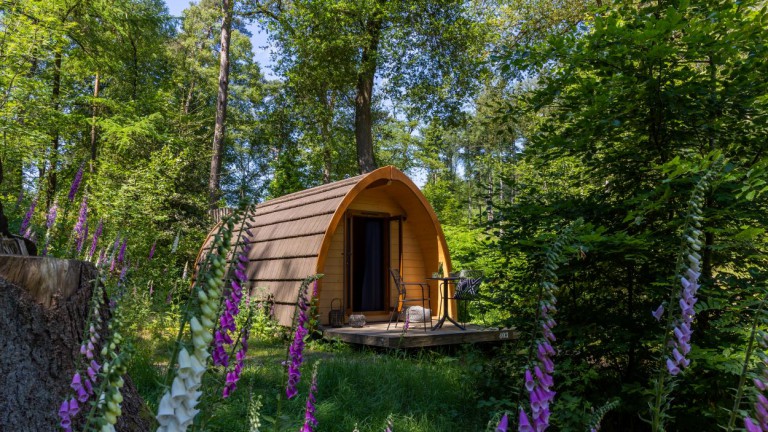Überlegen Pod - Buitenplaats Beekhuizen