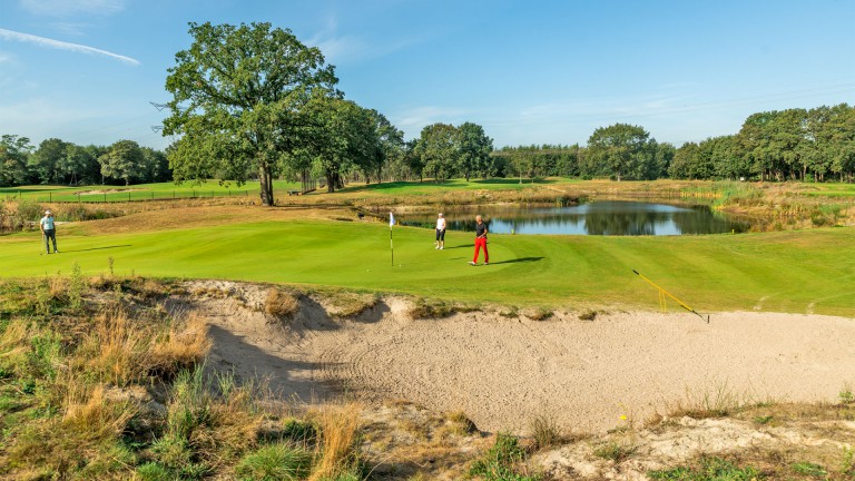 Golfplatz - Bergvliet Villa's