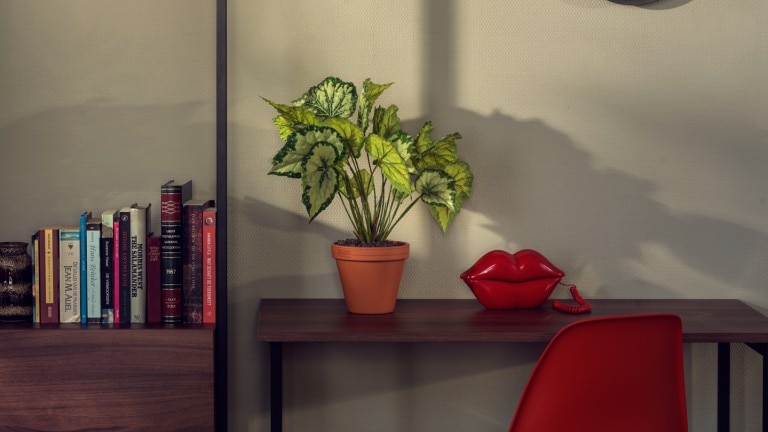 Extra large kamer - Townhouse Maastricht