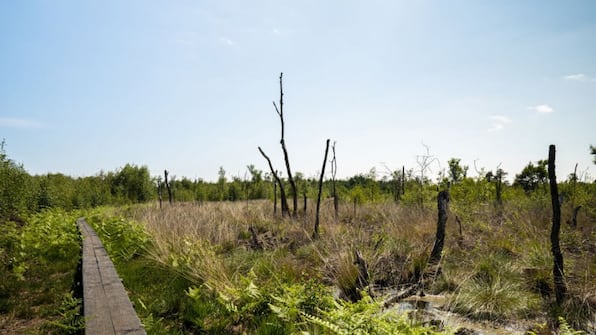 Omgeving - Hofparken Wiltershaar