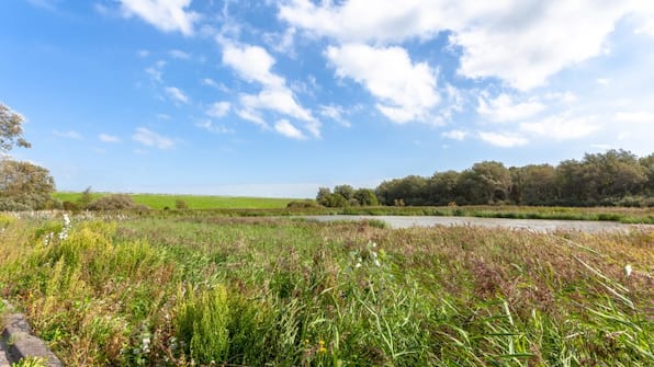 Omgeving - HarTeluk Afsluitdijk Zurich