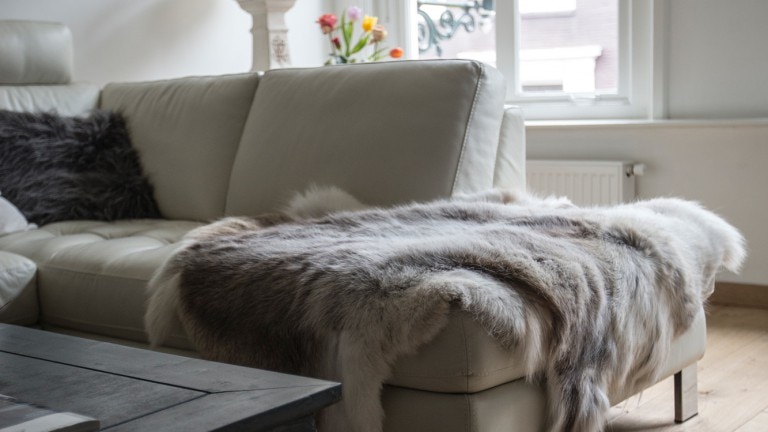 Huiskamer - Luxe Cityhouse De Rozenboom